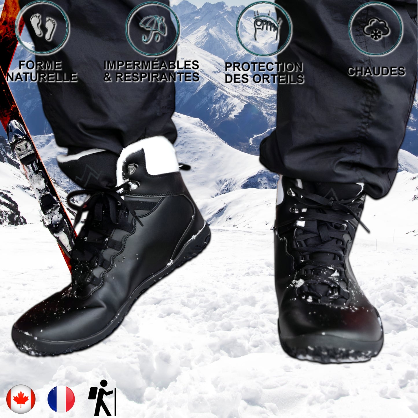 Aigle royal Noir et blanc